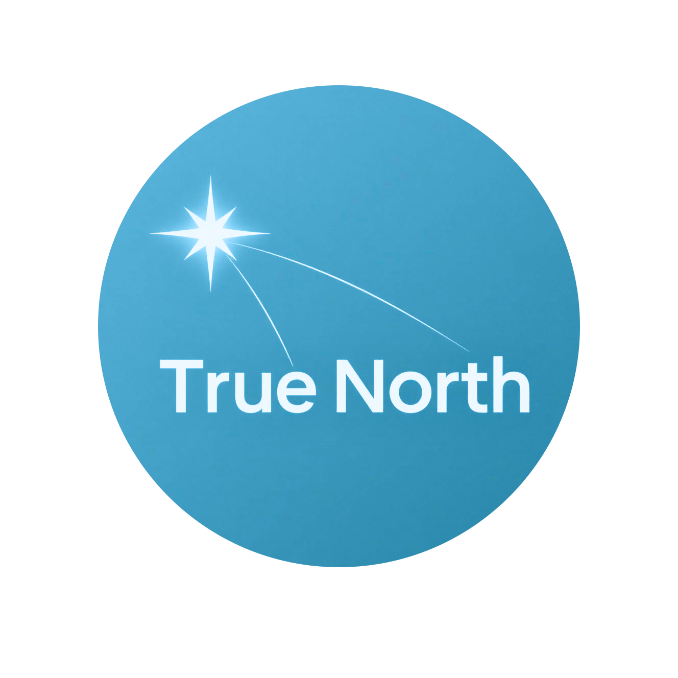 True North Logo